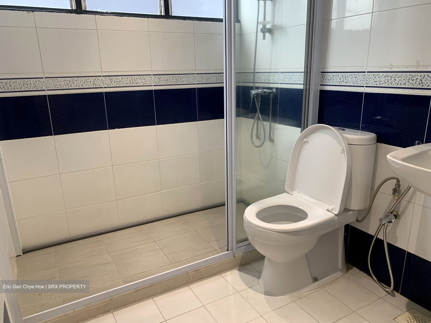 Dunearn Road (D11), Condominium #623660971